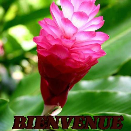 Alpinia Apartment แซ็งแตนน์ ภายนอก รูปภาพ