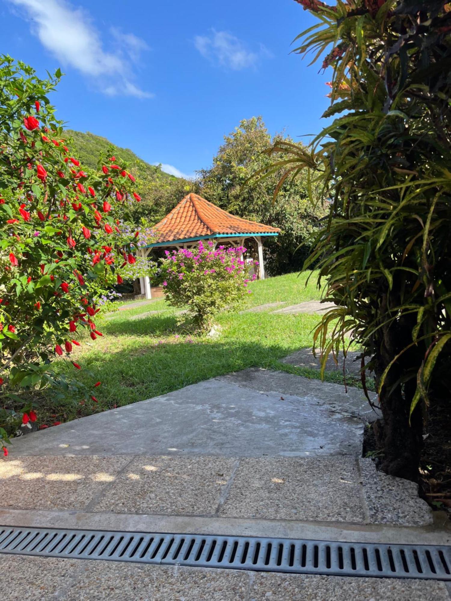 Alpinia Apartment แซ็งแตนน์ ภายนอก รูปภาพ